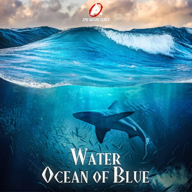 EPIC NATURE SERIES: WATER (OCEAN OF BLUE)